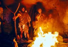 Arheologii spanioli au descoperit o locuință paleolitică intactă de 16.800 de ani în peștera La Garma Arheologii spanioli au descoperit o locuință paleolitică intactă de 16.800 de ani în peștera La Garma