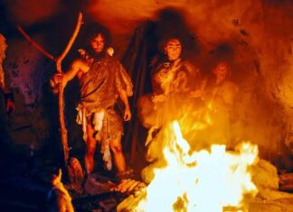 Arheologii spanioli au descoperit o locuință paleolitică intactă de 16.800 de ani în peștera La Garma Arheologii spanioli au descoperit o locuință paleolitică intactă de 16.800 de ani în peștera La Garma