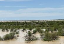 Outback graziers to ‘fork out millions’ to recover from devastating floods Outback graziers to ‘fork out millions’ to recover from devastating floods