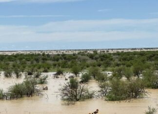 Outback graziers to ‘fork out millions’ to recover from devastating floods Outback graziers to ‘fork out millions’ to recover from devastating floods