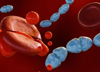 Breakthrough sepsis drug shows promise in human trial Breakthrough sepsis drug shows promise in human trial