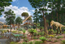 In Morrison Formation, Very Young Sauropod Dinosaurs Fueled Food Chain In Morrison Formation, Very Young Sauropod Dinosaurs Fueled Food Chain