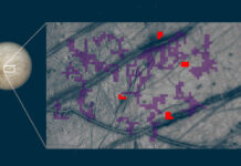 Ammonia-Bearing Compounds Detected on Europa for First Time Ammonia-Bearing Compounds Detected on Europa for First Time