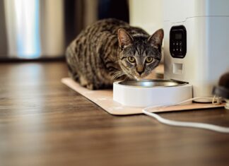 Mars invests €1.4m to boost petcare R&D Mars invests €1.4m to boost petcare R&D