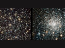 James Webb telescope solves mystery of ‘forever young’ vampire stars from the dawn of time