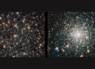 James Webb telescope solves mystery of ‘forever young’ vampire stars from the dawn of time James Webb telescope solves mystery of ‘forever young’ vampire stars from the dawn of time