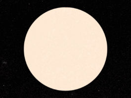 How long does it take the sun to rotate?