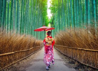 Top 15 Asia Destinations to Visit in 2026 According to TripAdvisor Top 15 Asia Destinations to Visit in 2026 According to TripAdvisor