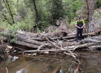 Weeks before clothing, remains found in hiker search can be identified Weeks before clothing, remains found in hiker search can be identified
