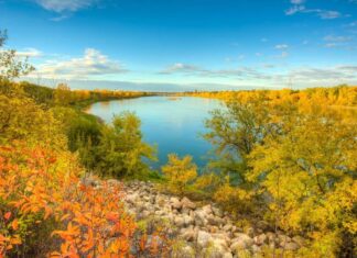 Saskatchewan hits cap for worker nominations in three sectors Saskatchewan hits cap for worker nominations in three sectors