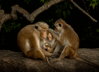 11 stunning finalists for the Youth Photographer of the Year prize 11 stunning finalists for the Youth Photographer of the Year prize