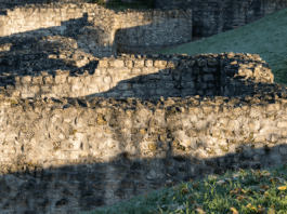 How a hobbyist’s hunch uncovered hidden Roman military camps