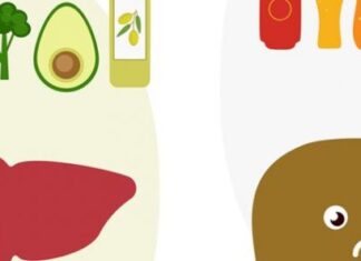 Alimentos beneficiosos para el hígado graso Alimentos beneficiosos para el hígado graso