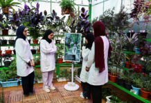 Zbog mlakih reakcija vlada tržišta se moraju sređivati na lokalnoj razini Zbog mlakih reakcija vlada tržišta se moraju sređivati na lokalnoj razini