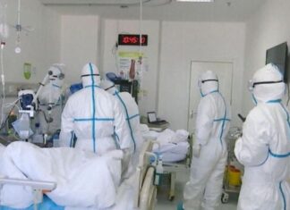 Nations Put on Alert As WHO Reports Outbreak of Deadly Virus in India Nations Put on Alert As WHO Reports Outbreak of Deadly Virus in India