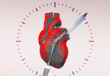 Ist Intervallfasten gefährlicher als gedacht? Das sagen Fachleute Ist Intervallfasten gefährlicher als gedacht? Das sagen Fachleute