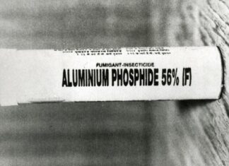 PGIMER doctors achieve major breakthrough in deadly Celphos poisoning PGIMER doctors achieve major breakthrough in deadly Celphos poisoning