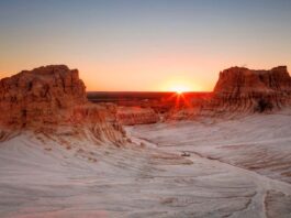 Tim Winton: ‘Sometimes I think we use the word dystopia as an opiate’