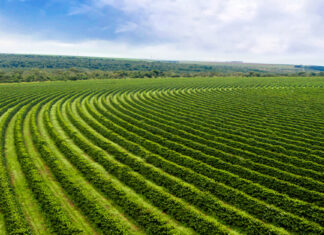 An Almanac to Agriculture An Almanac to Agriculture