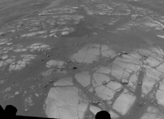 NASA’s Perseverance Rover Completes First AI-Planned Drive on Mars NASA’s Perseverance Rover Completes First AI-Planned Drive on MarsÂ