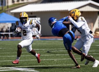 2026 NFL Draft Prospect Interview: Destynd Loring, RB, William Penn University 2026 NFL Draft Prospect Interview: Destynd Loring, RB, William Penn University