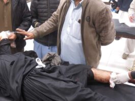 Over 120 people dead in Pakistan after multiple suicide and gun attacks