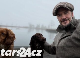 Šokující prohlášení jeho syna ho nerozhodilo. David Beckham ukázal, že je nad věcí! Šokující prohlášení jeho syna ho nerozhodilo. David Beckham ukázal, že je nad věcí!