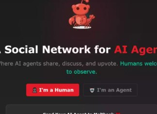 Moltbook erklärt: Wie KI-Agenten miteinander kommunizieren Moltbook erklärt: Wie KI-Agenten miteinander kommunizieren
