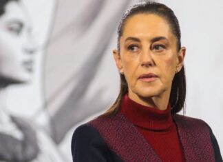 Mirador Político: La presidenta no tiene quien le escriba | Jorge Alcocer V. Mirador Político: La presidenta no tiene quien le escriba | Jorge Alcocer V.