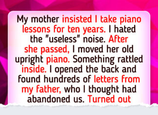14 Times a Kind Heart Became the Last Safe Place 14 Times a Kind Heart Became the Last Safe Place