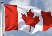 Concerns mount over rising cases of missing children in Canada Concerns mount over rising cases of missing children in Canada