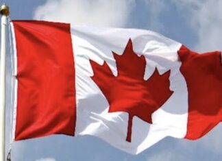 Concerns mount over rising cases of missing children in Canada Concerns mount over rising cases of missing children in Canada