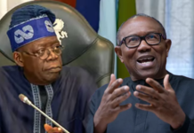 Peter Obi lambasts Tinubu for spending 23 days of January abroad, neglecting national issues Peter Obi lambasts Tinubu for spending 23 days of January abroad, neglecting national issues