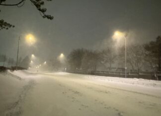 Schools closed, buses pulled off roads as storm hammers Newfoundland Schools closed, buses pulled off roads as storm hammers Newfoundland