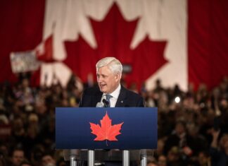 Stephen Harper celebrating 20th anniversary of his Conservative government this week Stephen Harper celebrating 20th anniversary of his Conservative government this week