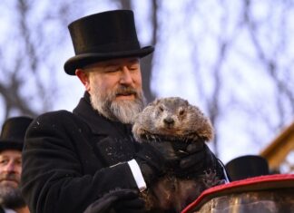 Did Punxsutawney Phil See His Shadow for 2026? Winter Update Did Punxsutawney Phil See His Shadow for 2026? Winter Update