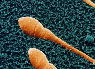 Také mužům „tikají hodiny“ Také mužům „tikají hodiny“