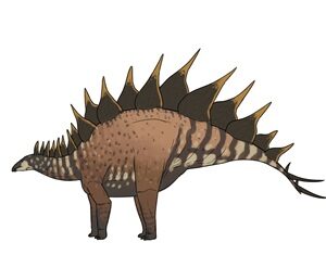 Největší stegosaurid identifikován v Utahu Největší stegosaurid identifikován v Utahu