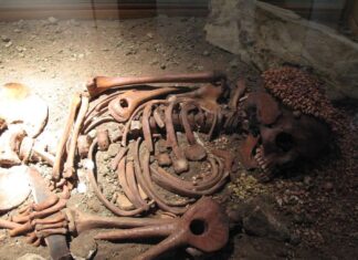 Ce qu’a vécu cet adolescent il y a 28 000 ans bouleverse les chercheurs Ce qu’a vécu cet adolescent il y a 28 000 ans bouleverse les chercheurs