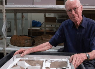 Teen discovers Australia’s oldest dinosaur fossil—almost 70 years ago Teen discovers Australia’s oldest dinosaur fossil—almost 70 years ago
