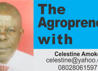 How To Mitigate Losses In Farming Business In Nigeria How To Mitigate Losses In Farming Business In Nigeria