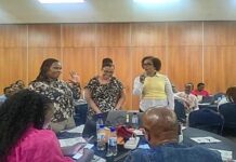 Turning Plans into Protection: Improving Capacity for Better Leprosy Case Management and Mass Drug Administration in Limpopo Province of South Africa Turning Plans into Protection: Improving Capacity for Better Leprosy Case Management and Mass Drug Administration in Limpopo Province of South Africa