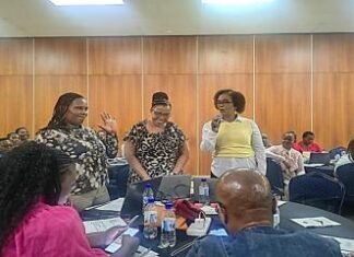 Turning Plans into Protection: Improving Capacity for Better Leprosy Case Management and Mass Drug Administration in Limpopo Province of South Africa Turning Plans into Protection: Improving Capacity for Better Leprosy Case Management and Mass Drug Administration in Limpopo Province of South Africa