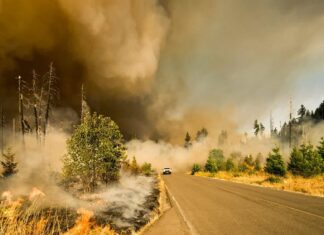 How Climate Disasters Turn Homeowners Into Renters How Climate Disasters Turn Homeowners Into Renters