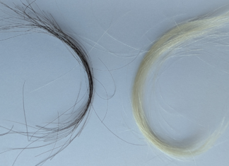 Preserved hair reveals just how bad lead exposure was in the 20th century Preserved hair reveals just how bad lead exposure was in the 20th century