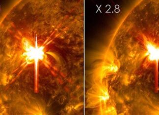 Sunspot launches 27 solar flares in 24 hours, including strongest outburst in years Sunspot launches 27 solar flares in 24 hours, including strongest outburst in years