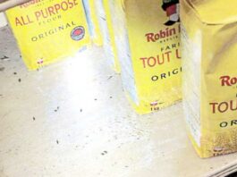 Infestation de souris et de coquerelles au commerce de Montréal Yaser Fruits