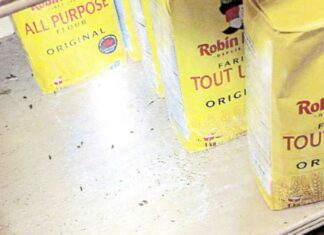 Infestation de souris et de coquerelles au commerce de Montréal Yaser Fruits Infestation de souris et de coquerelles au commerce de Montréal Yaser Fruits