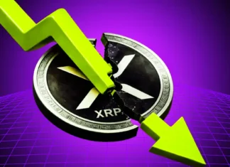 XRP Price Rejected at $1.67 After 20% Surge—Key Support and Resistance Levels to Watch XRP Price Rejected at $1.67 After 20% Surge—Key Support and Resistance Levels to Watch