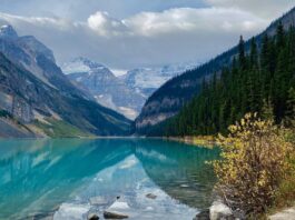 Alberta’s tourism sector outperforms rest of Canada with record spending, U.S. visitors rising